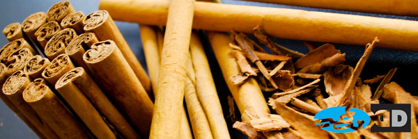 sri_lanka_cinnamon4.jpg